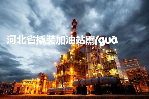 河北省撬裝加油站關(guān)鍵技術(shù)突破！化工廠拆除工程的新方法探索？